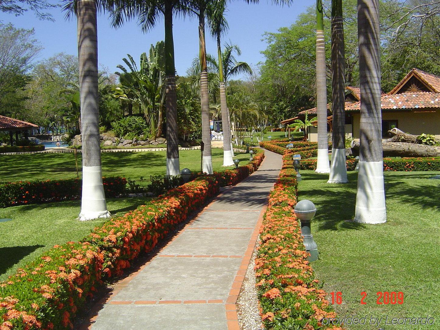 Cc Front Papagayo